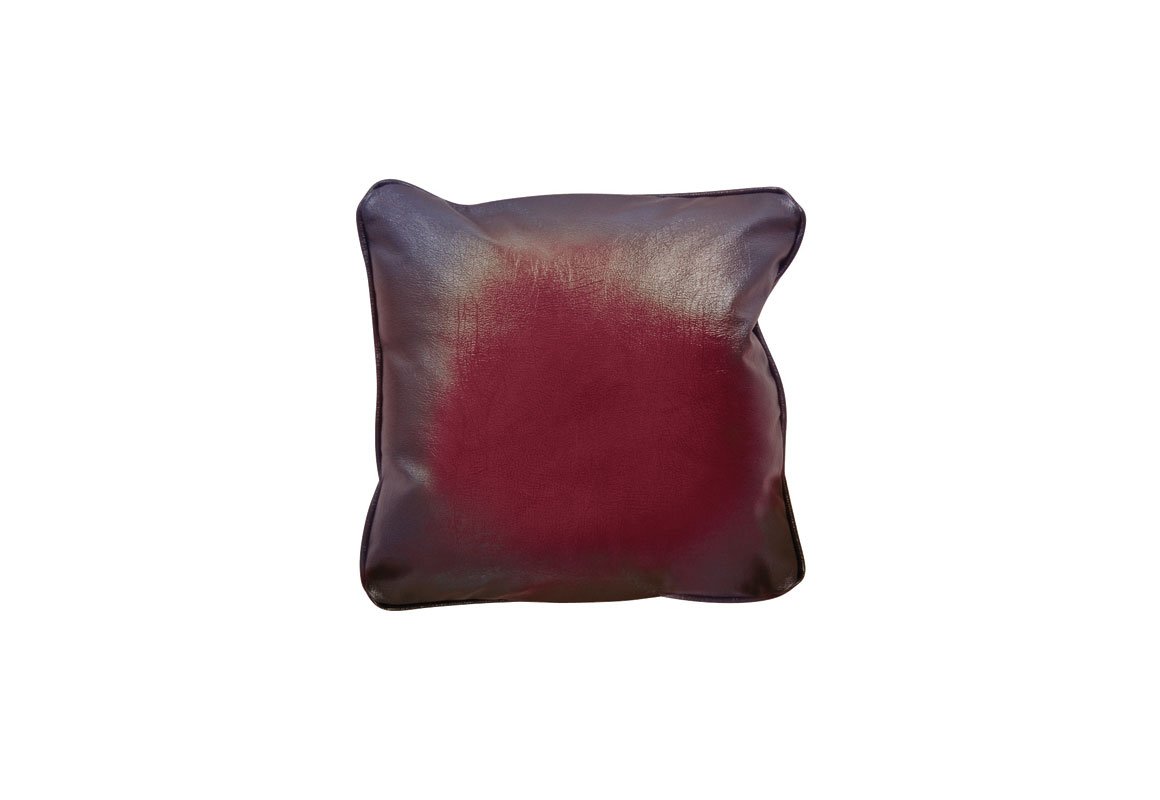 Consort Leather Scatter Cushion
